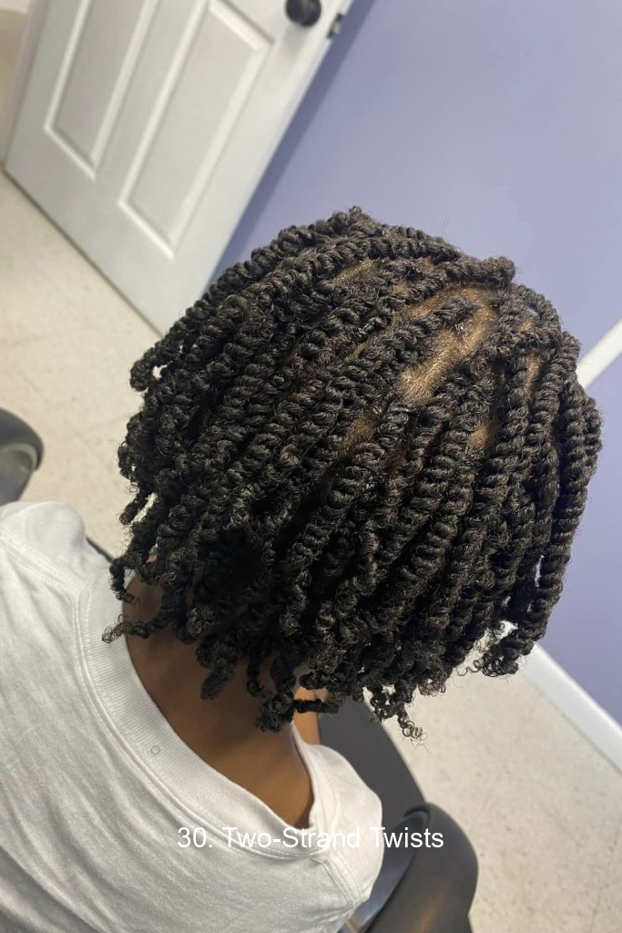 30. Two Strand Twists 8384 30. Two-Strand Twists